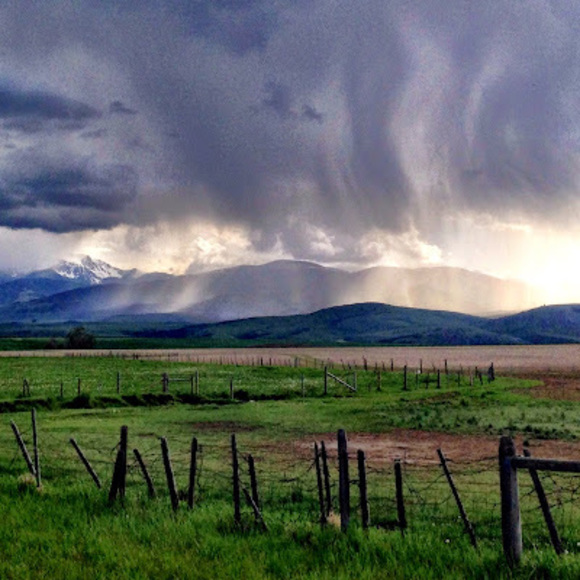 Meet your Posher, Tt - Picture 1 of 1